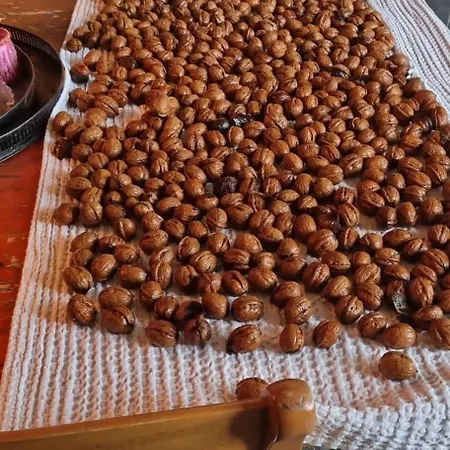 Op Bij Nicole Putten