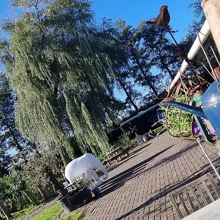 Op Bij Nicole פוטן