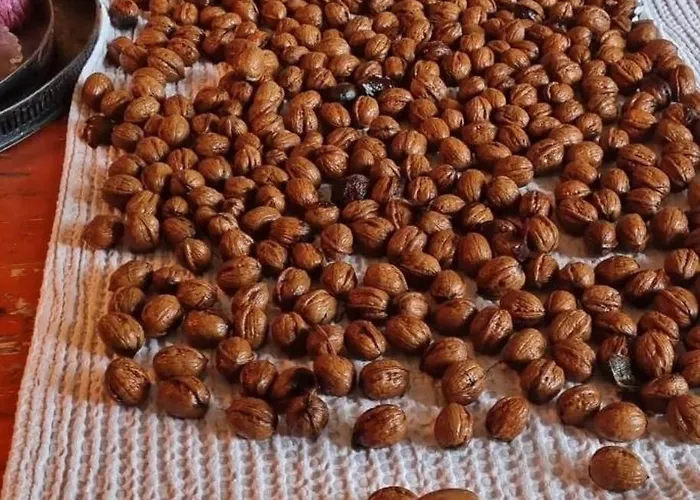 Op Bij Nicole פוטן